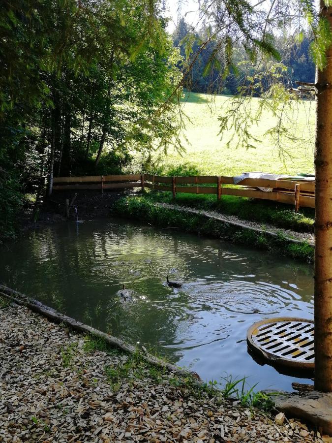 Ferienhaus Am Waldrand Von Egg Bregenzer Wald Buitenkant foto