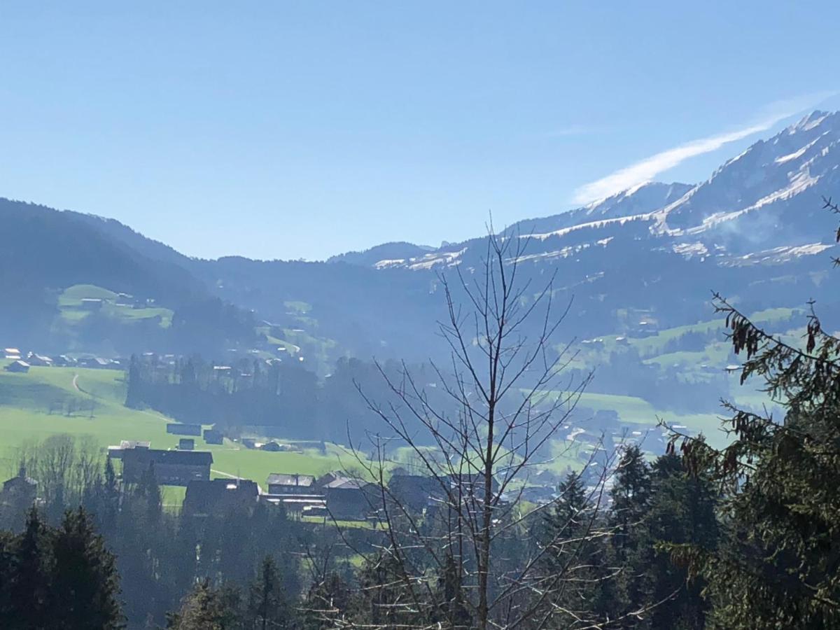 Ferienhaus Am Waldrand Von Egg Bregenzer Wald Buitenkant foto