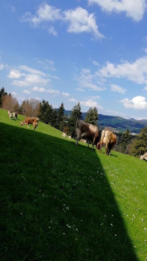 Ferienhaus Am Waldrand Von Egg Bregenzer Wald Buitenkant foto